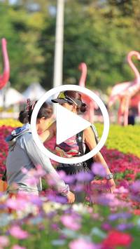 BIB:  <button type="button" onclick="openModal(27583595)" class="btn btn-primary btn-sm float-right" data-toggle="modal" data-target=".modal-high-quality">
                <i class="fa fa-download"></i> Download
                </button>